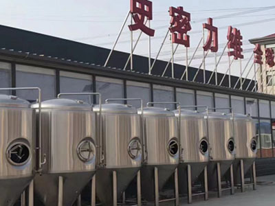 新和精酿啤酒设备厂—如何判断精酿啤酒设备的密封件需要更换？